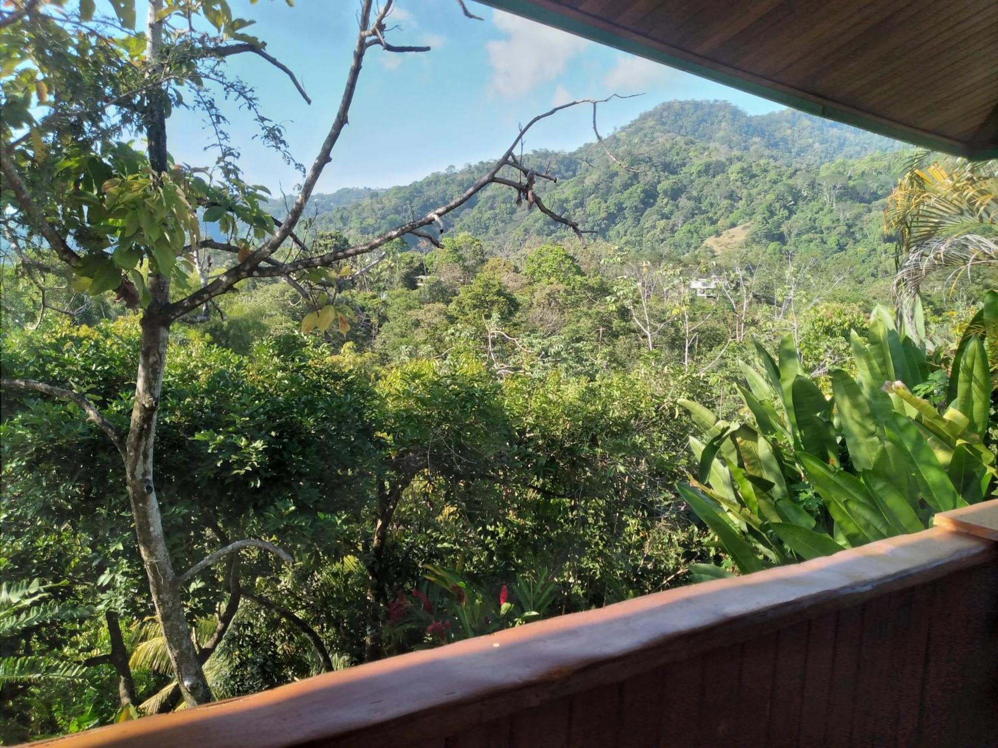 Casa Miramar Βίλα Uvita Δωμάτιο φωτογραφία